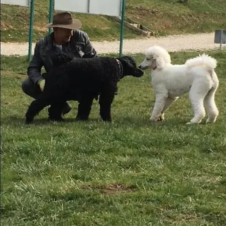 Red House Apartamento *