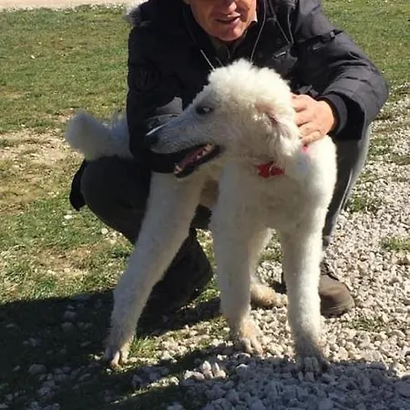 Red House Lägenhet Visoko